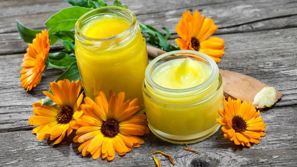 Le-baume-au-calendula-De-la-Fleur-au-pot-1024x626